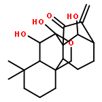 LONGIKAURIN A 