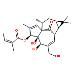 3,5-DIBROMO-2-METHYLBENZOIC ACID 