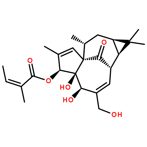 3,5-DIBROMO-2-METHYLBENZOIC ACID 