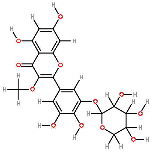 3'-O-beta-D-Xylopyranoside-3',4',5,5',7-Pentahydroxy-3-methoxyflavone