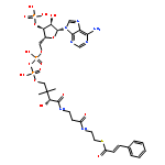 Coenzyme A,S-[(2E)-3-phenyl-2-propenoate]