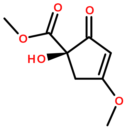 KJELLMANIANONE 