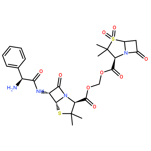 SULTAMICILLIN 