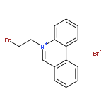 PHENANTHRIDINIUM, 5-(2-BROMOETHYL)-, BROMIDE