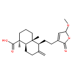 5-METHYL-1-NAPHTHALENAMINE 