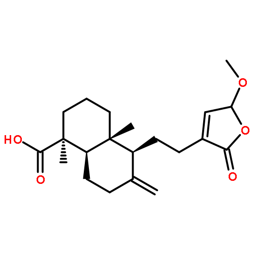 5-METHYL-1-NAPHTHALENAMINE 