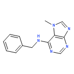 N-BENZYL-7-METHYLPURIN-6-AMINE 