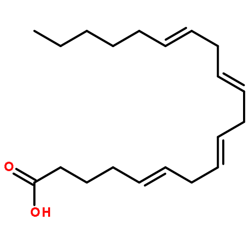 cis-5,8,11,14-Eicosatetraenoic acid