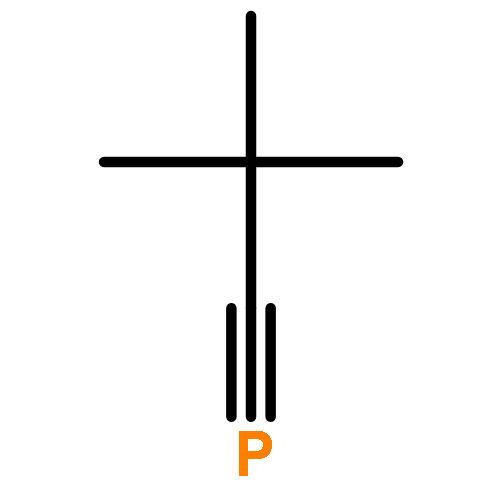 2,2-DIMETHYLPROPYLIDYNEPHOSPHANE 