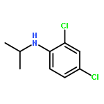 2,4-DICHLORO-N-PROPAN-2-YLANILINE 