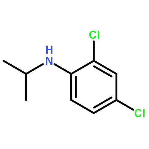 2,4-DICHLORO-N-PROPAN-2-YLANILINE 