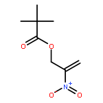 2-NITROPROP-2-ENYL 2,2-DIMETHYLPROPANOATE 