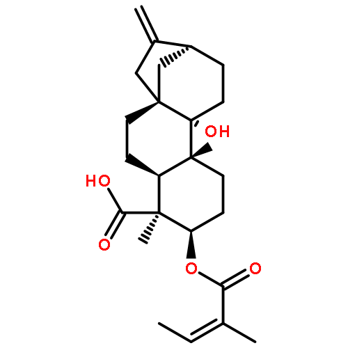 Kaur-16-en-18-oic acid,
9-hydroxy-3-[[(2Z)-2-methyl-1-oxo-2-butenyl]oxy]-, (3a,4a)-