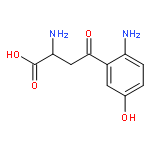 2-amino-4-(2-amino-5-hydroxyphenyl)-4-oxobutanoic acid