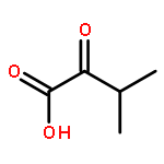 3-METHYL-2-OXOBUTANOIC ACID 