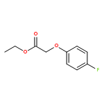 (4-FLUOROPHENOXY) ACETIC ACID ETHYL ESTER 