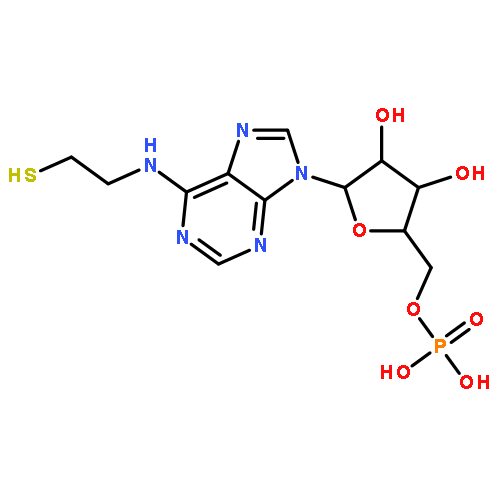 5'-Adenylic acid, N-(2-mercaptoethyl)-