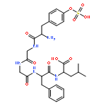 L-Leucine,O-sulfo-L-tyrosylglycylglycyl-L-phenylalanyl-