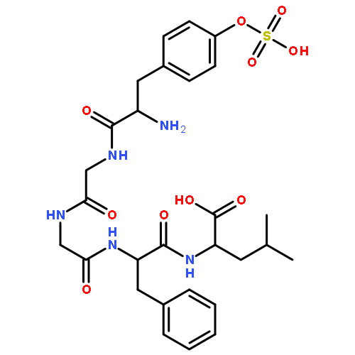 L-Leucine,O-sulfo-L-tyrosylglycylglycyl-L-phenylalanyl-