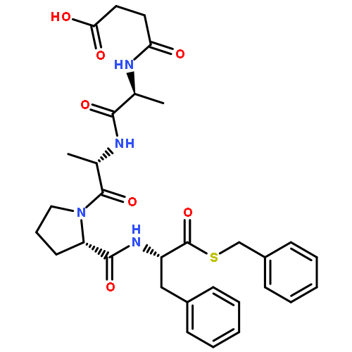 CARBOXYPEPTIDASE B