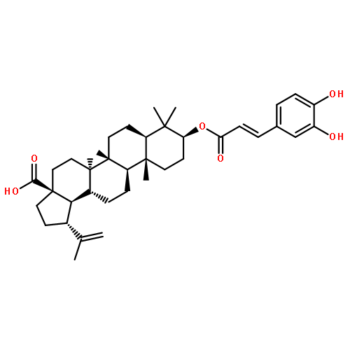 Lup-20(29)-en-28-oic acid,3-[[(2E)-3-(3,4-dihydroxyphenyl)-1-oxo-2-propen-1-yl]oxy]-, (3b)-