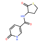 6-OXO-N-(2-OXOTHIOLAN-3-YL)-1H-PYRIDINE-3-CARBOXAMIDE