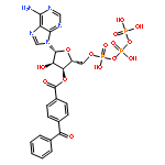 Adenosine5'-(tetrahydrogen triphosphate), 3'-(4-benzoylbenzoate)