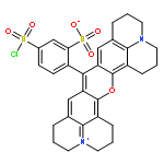 Sulforhodamine sulfonyl chloride