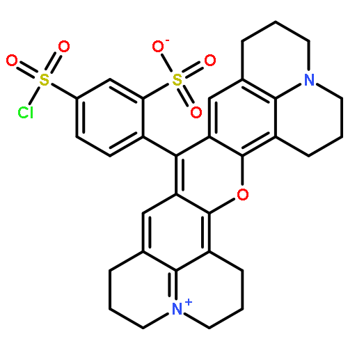 Sulforhodamine sulfonyl chloride