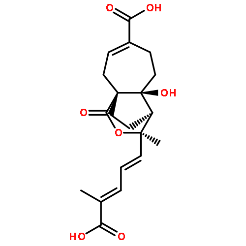 Demethoxydeacetoxypseudolaric-acid-B