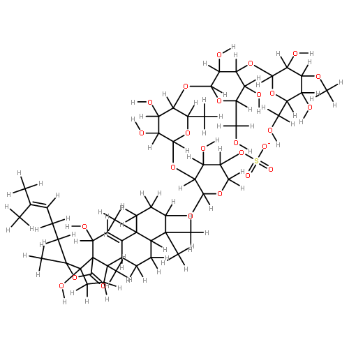 24-dehydroechinoside A