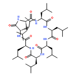 CYCLO(L-LEUCYL-L-LEUCYL-L-LEUCYL-L-LEUCYL-L-LEUCYL-L-LEUCYL-L-LEUCYL)