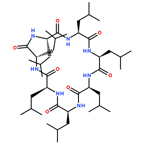 CYCLO(L-LEUCYL-L-LEUCYL-L-LEUCYL-L-LEUCYL-L-LEUCYL-L-LEUCYL-L-LEUCYL)