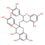 Bilberry Extract