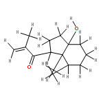 (+)-chiloscypholone