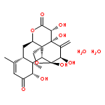 EURYCOMANONE