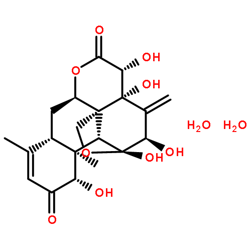 EURYCOMANONE