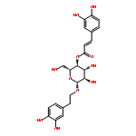 b-D-Glucopyranoside,2-(3,4-dihydroxyphenyl)ethyl, 4-[(2E)-3-(3,4-dihydroxyphenyl)-2-propenoate]