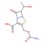 ritipenem