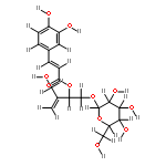 2-hydroxymethyl-3-caffeoyloxy-1-butene-4-O-beta-D-glucopyranosideranoside