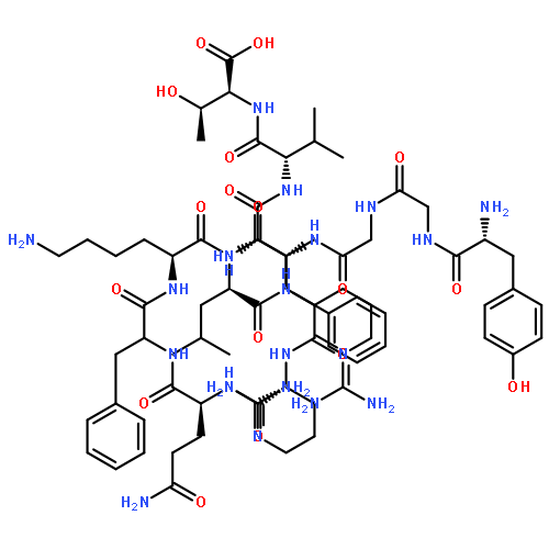 Dynorphin B