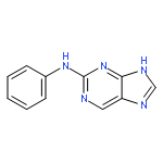 N-phenyl-9H-Purin-2-amine