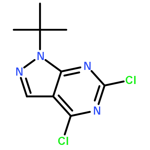 1H-Pyrazolo[3,4-d]pyrimidine, 4,6-dichloro-1-(1,1-dimethylethyl)-