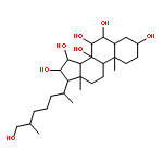 (25S)-5alpha-cholestane-3beta,6alpha,7alpha,8,15alpha,16beta,26-heptaol