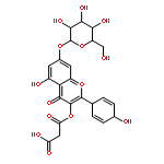 3-[5-hydroxy-2-(4-hydroxycyclohexa-2,4-dien-1-yl)-4-oxo-7-[(2S,3R,4S,5S,6R)-3,4,5-trihydroxy-6-(hydroxymethyl)oxan-2-yl]oxychromen-3-yl]oxy-3-oxopropanoic acid