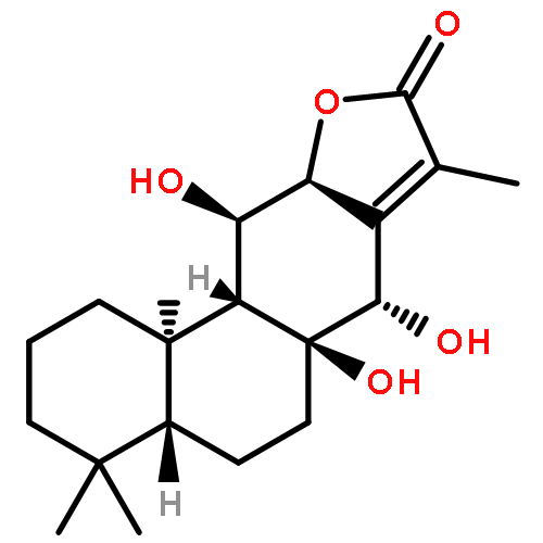 Yuexiandajisu D