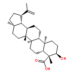 Lupeolic acid