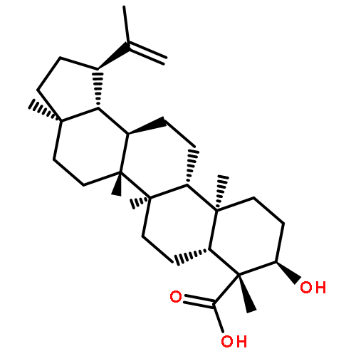 Lupeolic acid