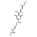 Carbamic acid,[(1E,5R)-5-[3-[(2E,4E)-2,5-dimethyl-1-oxo-2,4-octadienyl]-4-hydroxy-2-oxo-2H-pyran-6-yl]-1-hexenyl]-,methyl ester (9CI)