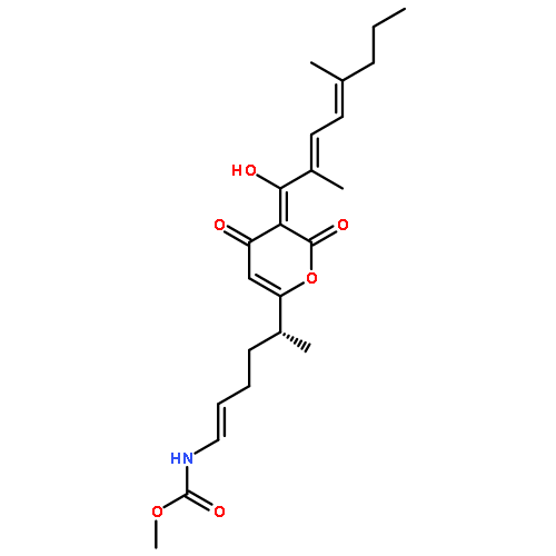 Carbamic acid,[(1E,5R)-5-[3-[(2E,4E)-2,5-dimethyl-1-oxo-2,4-octadienyl]-4-hydroxy-2-oxo-2H-pyran-6-yl]-1-hexenyl]-,methyl ester (9CI)